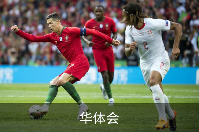 华体会平台介绍展示图